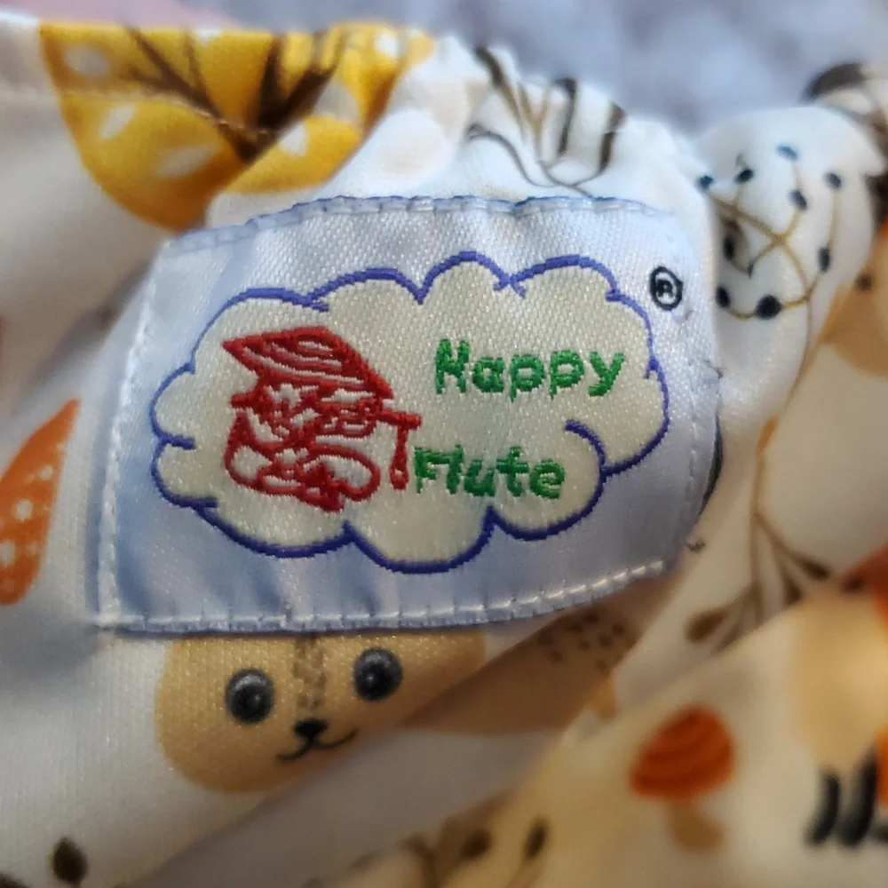 Set of 2 cloth diapers